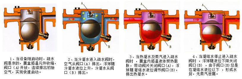 疏水閥原理介紹-疏水閥工作原理